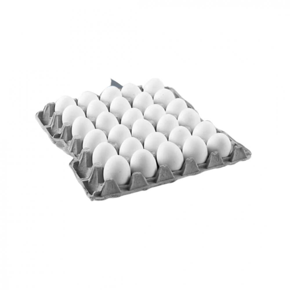 Egg Dish Large Size - Carton 