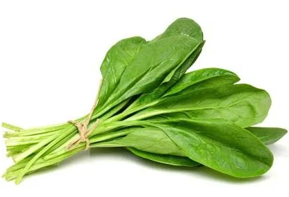 Egyptian spinach 8 kg - carton