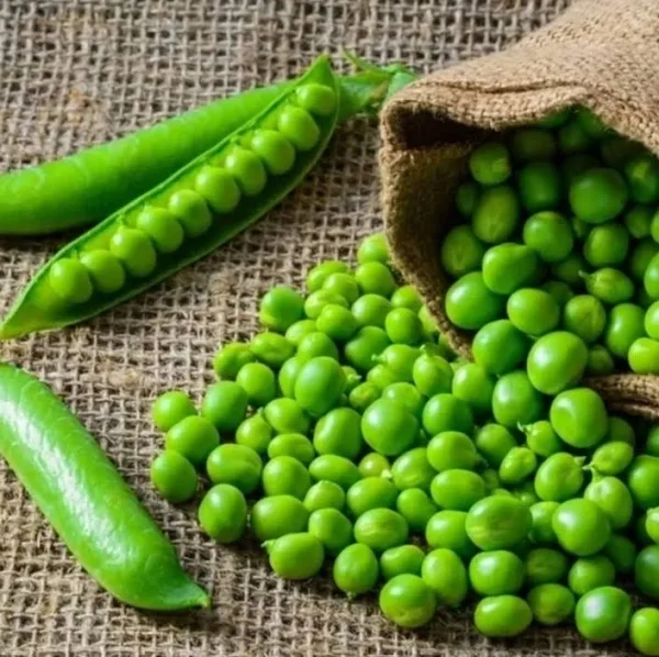 Frozen peas 400 g x 20 - carton