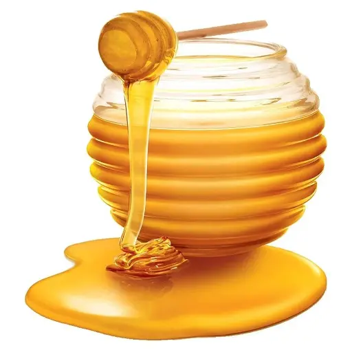 [CA0004821] Honey 3 kg - pail